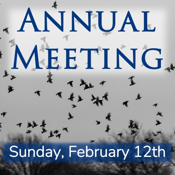 Annual Meeting