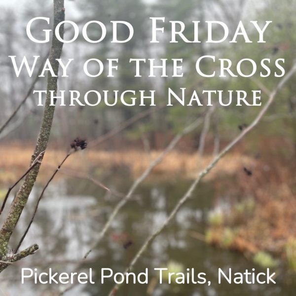 Way of the Cross through Nature
